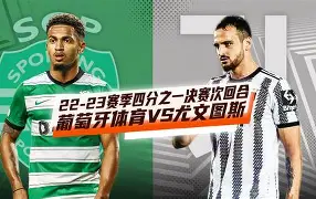 美高梅中国官网-日本麝香葡萄之夜